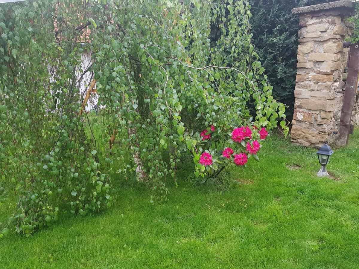 Zlty Dom Vrbov Apartment Luaran gambar